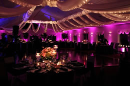 Purple and Gold up-lighting for wedding reception