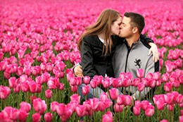 Kissing in endless pink tulips