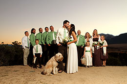 Wedding party poses at sunset in Buena Vista, Colorado