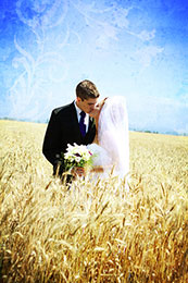 Bride and Groom kiss in a wheat field under blue skies