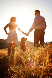 Engagement session with dog at Regusci Vineyards