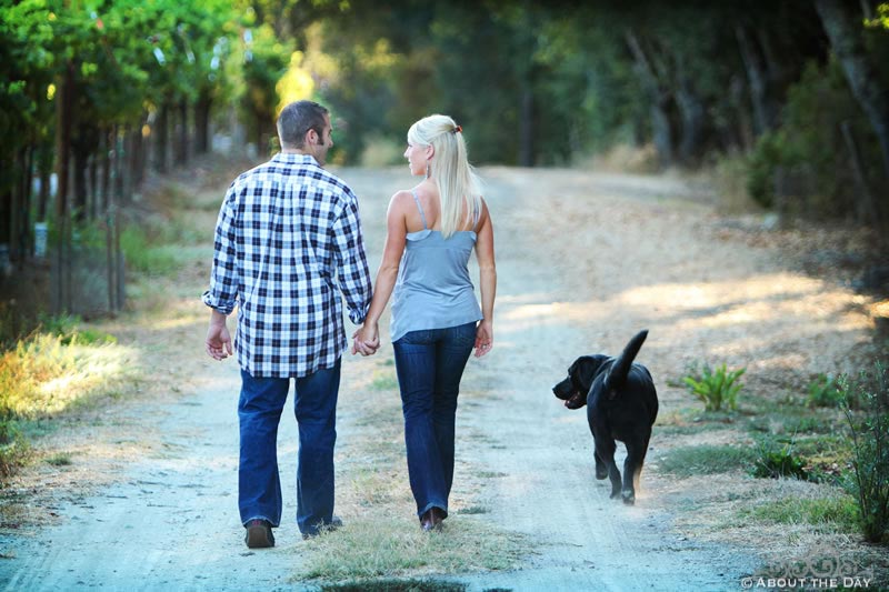 Engagement session in Santa Rosa, California