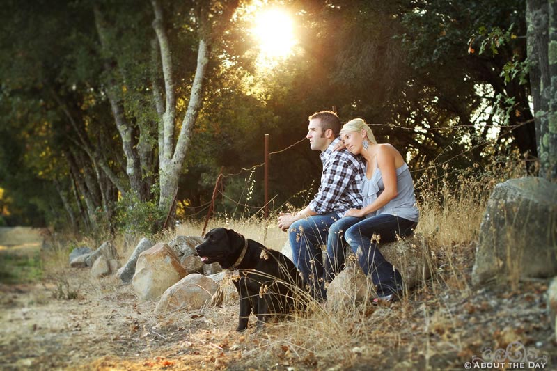 Engagement session in Santa Rosa, California