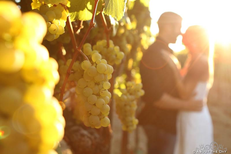 Engagement session in Santa Rosa, California