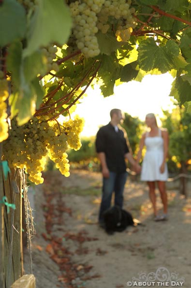 Engagement session in Santa Rosa, California