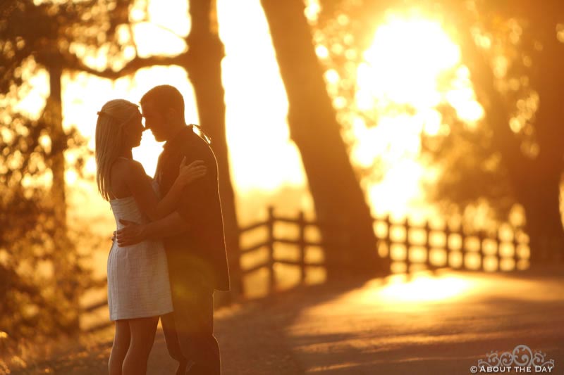 Engagement session in Santa Rosa, California