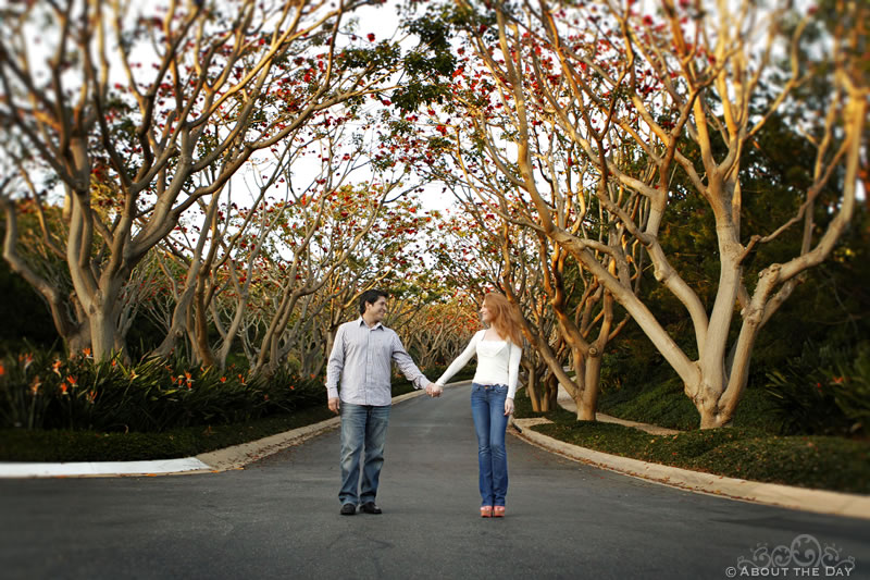 Engagement session in Newport Beach, California