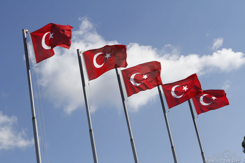 The Turkish flag