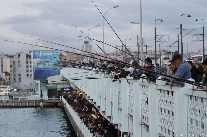 Fishing at Galata Beyoğlu