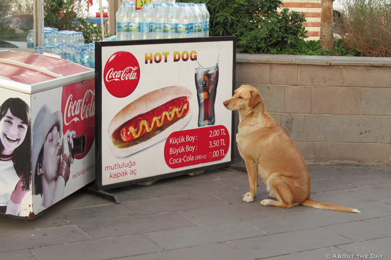 A real Turkish Hot Dog