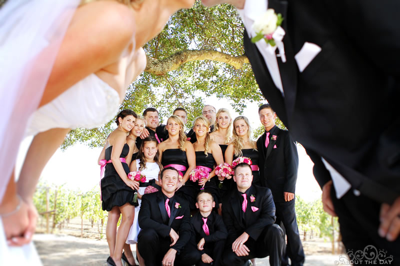 Wedding in Calistoga, California