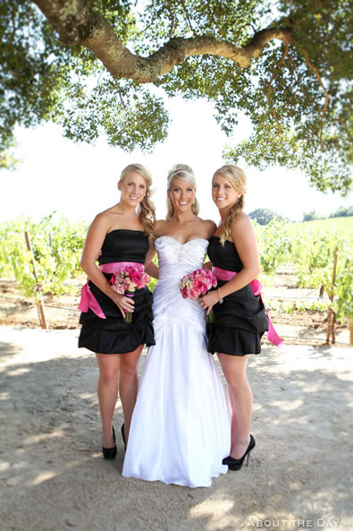 Wedding in Calistoga, California