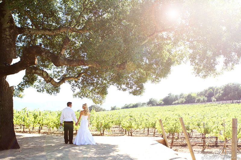 Wedding in Calistoga, California