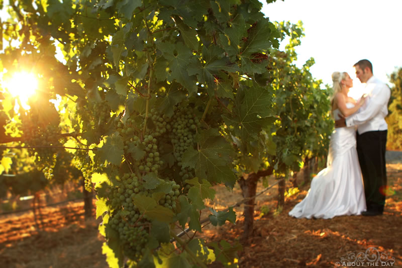 Wedding in Calistoga, California