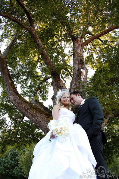 Wedding at Novelty Hill Januik Winery in Woodinville, Washington