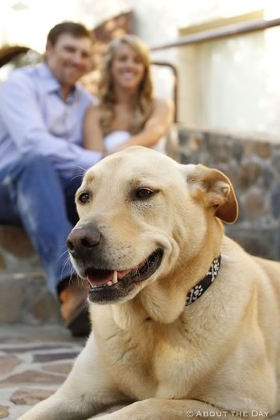 Engagement Session in Calistoga, California