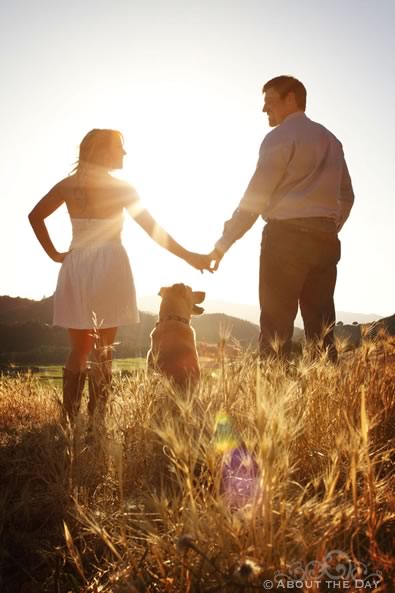 Engagement Session in Calistoga, California