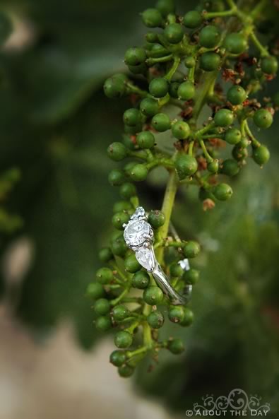 Engagement Session in Calistoga, California