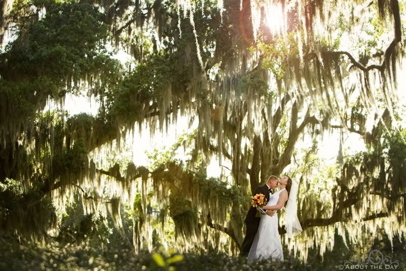Wedding at Bok Tower in Lake Wales, Florida