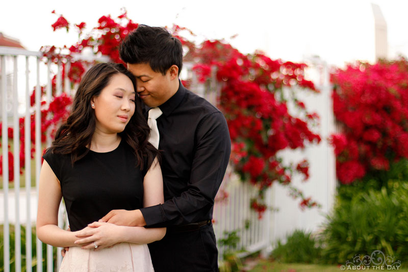 Engagement photos on Coronado Island