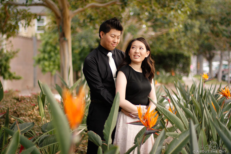 Engagement photos on Coronado Island