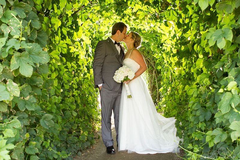 Bride and Groom kiss in the ivy tunnel