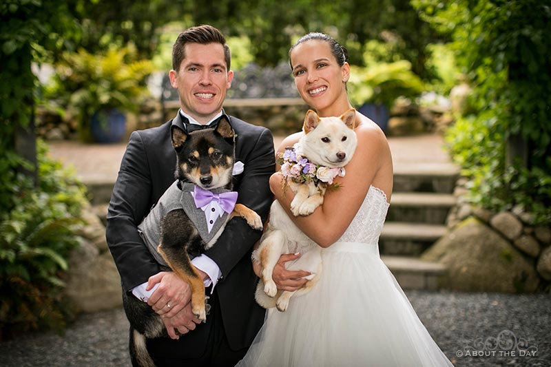 The Bride and Groom with their dogs