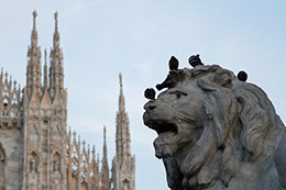 The masive stone lion head in foreground of Milan Duomo