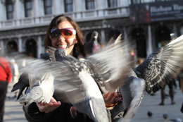 Birds attack Sonia while she tries to feed them in Piazza San Marco