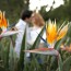 Engagement shoot in Riverside, California