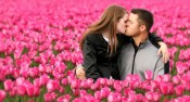 Kissing in the Tulips