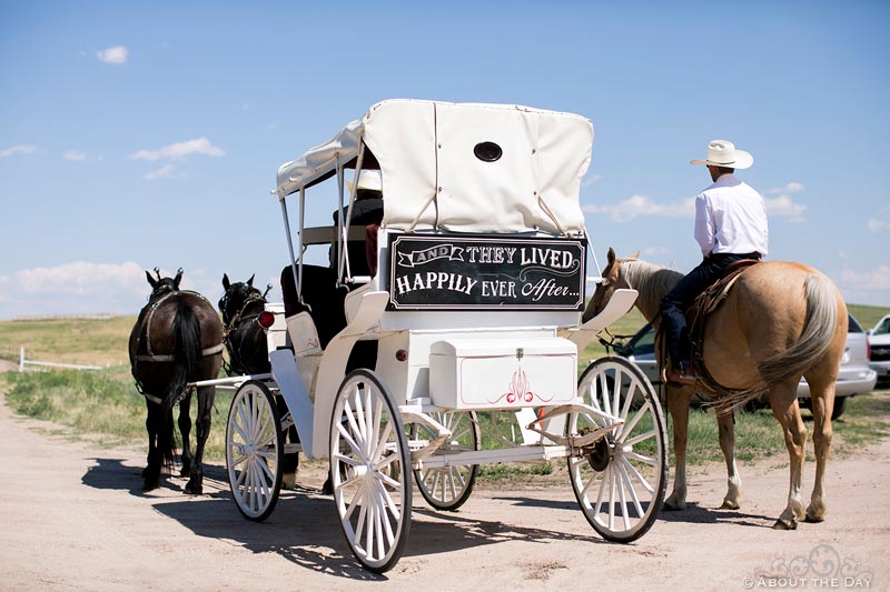 Wedding Carriage waits for Bride at Haythorn Land & Cattle Co