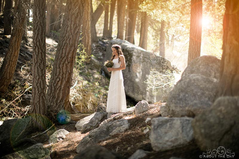 Beautiful bride stands in the sunlit woods