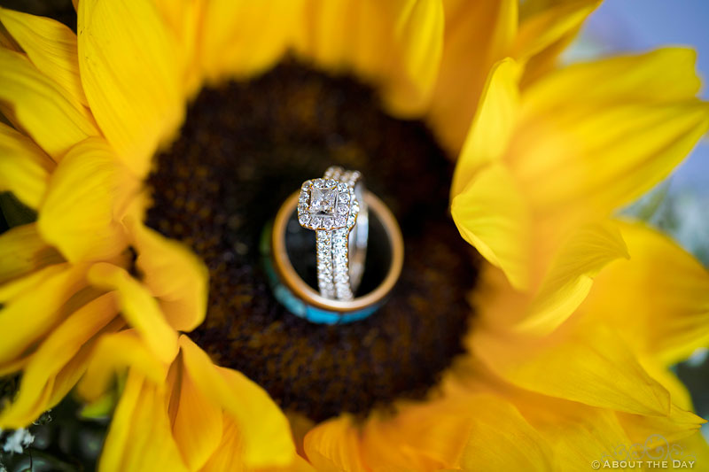 Wedding rings in the center of a sunflower