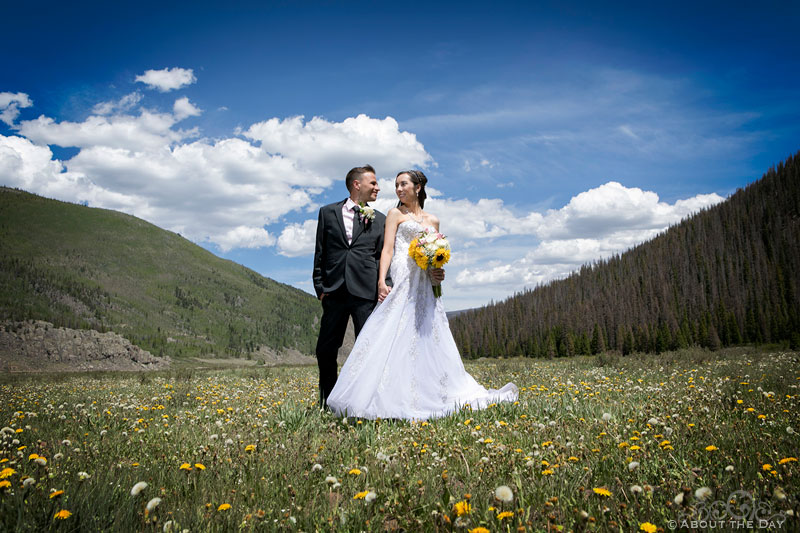 The wedding couple stand in the meadow in Platoro, CO