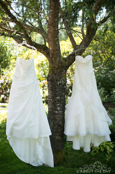The wedding dresses are placed in the tree at Albees Garden in Olympia