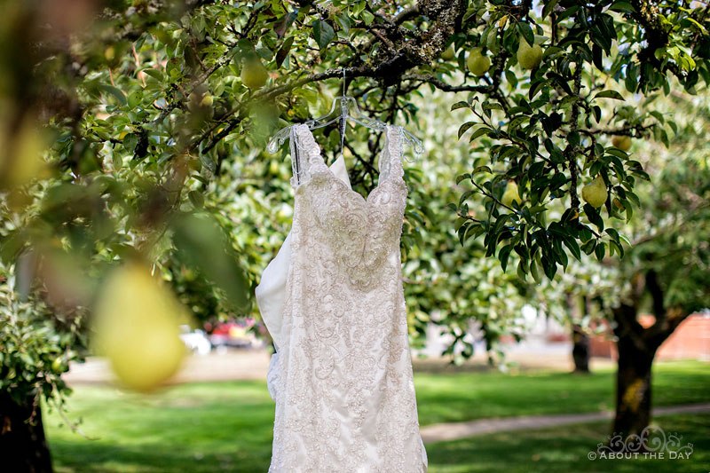 The Brides dress hangs in the Orchard at Sunshine Hill
