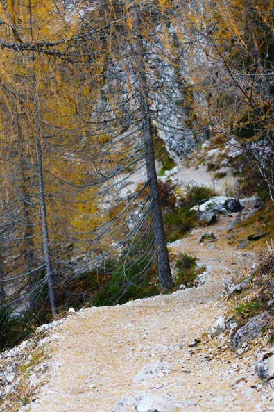 The 527 trail at the base of Plattkofel