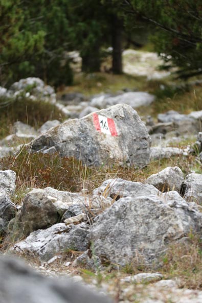 Trail 14 up and out of the Vallunga valley