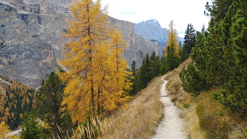 Looking back down trail 14 into the Vallunga valley