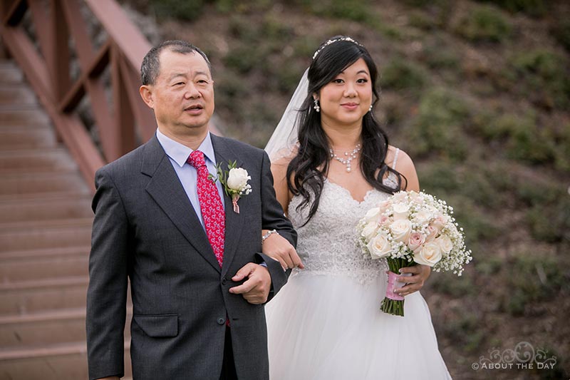 Chinese lion annouces the Bride at Zenith Vineyards